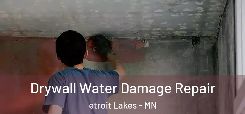  Drywall Water Damage Repair etroit Lakes - MN