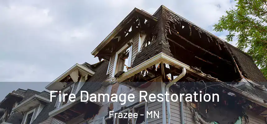 Fire Damage Restoration Frazee - MN