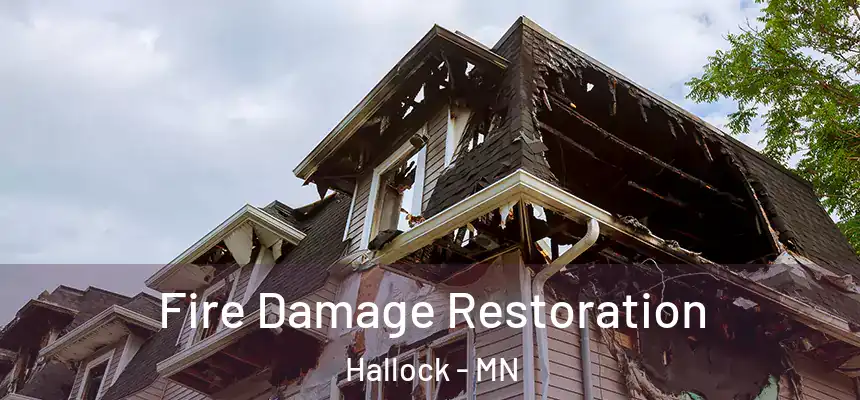  Fire Damage Restoration Hallock - MN