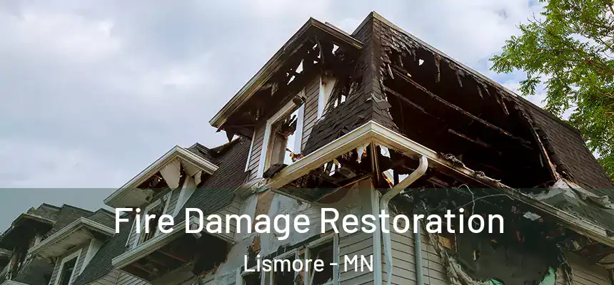 Fire Damage Restoration Lismore - MN