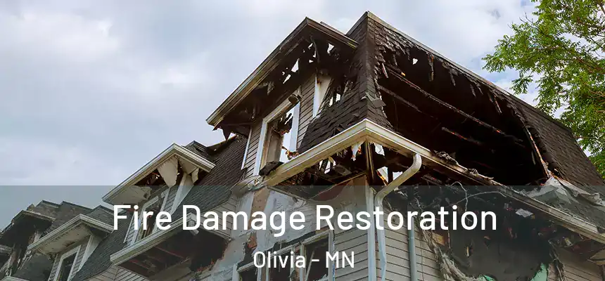 Fire Damage Restoration Olivia - MN
