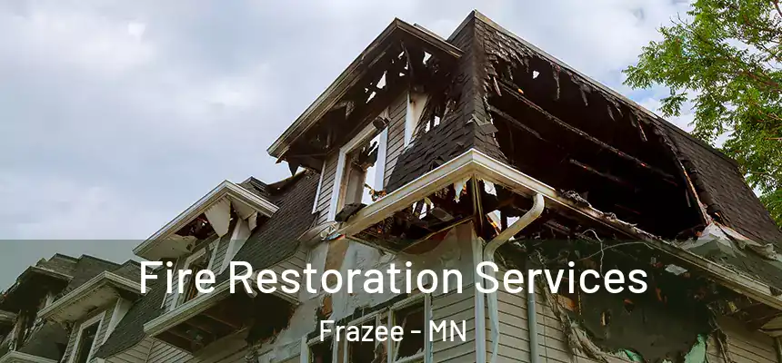 Fire Restoration Services Frazee - MN