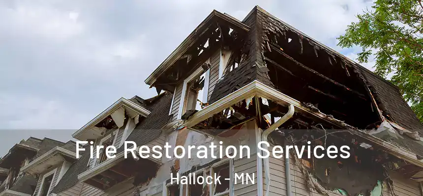  Fire Restoration Services Hallock - MN
