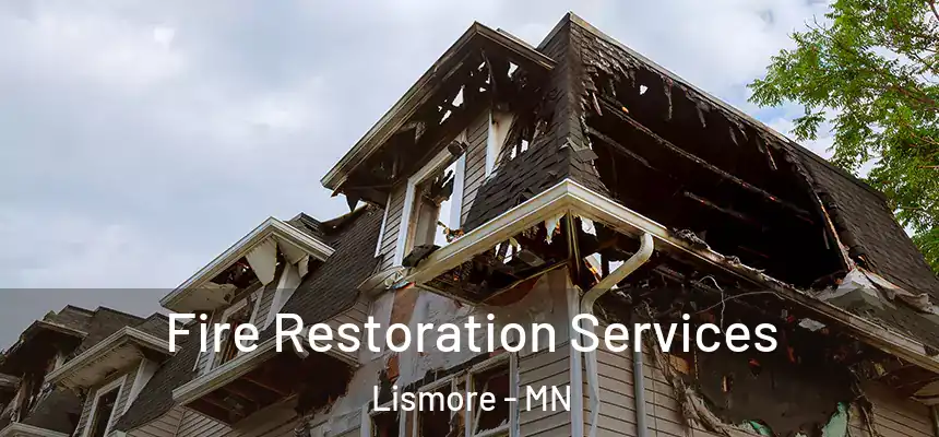 Fire Restoration Services Lismore - MN