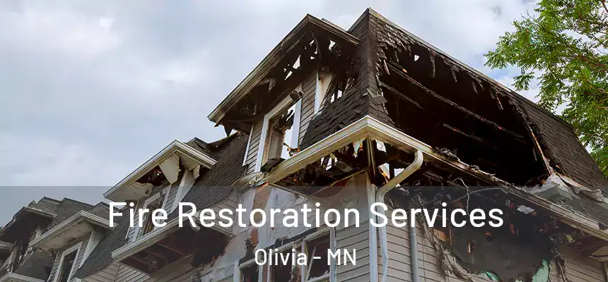  Fire Restoration Services Olivia - MN