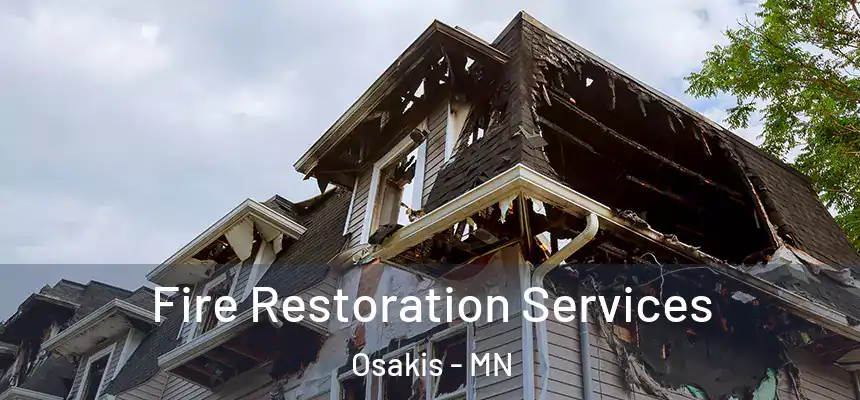  Fire Restoration Services Osakis - MN