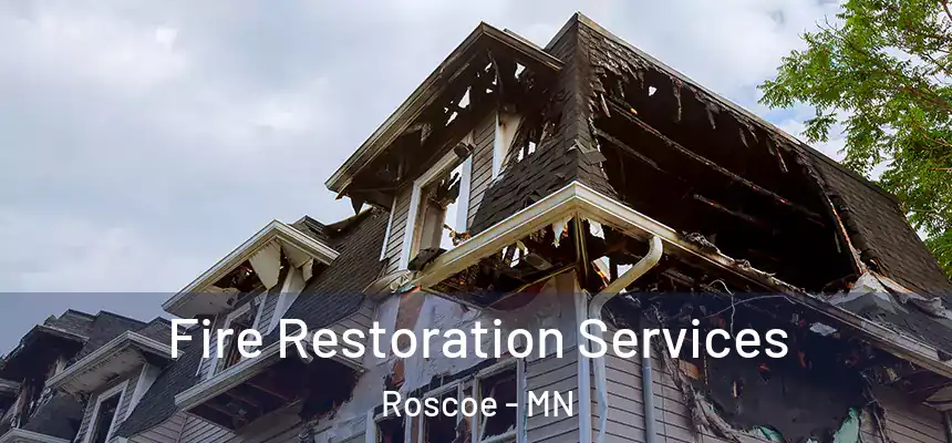  Fire Restoration Services Roscoe - MN