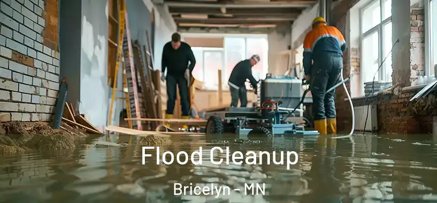  Flood Cleanup Bricelyn - MN