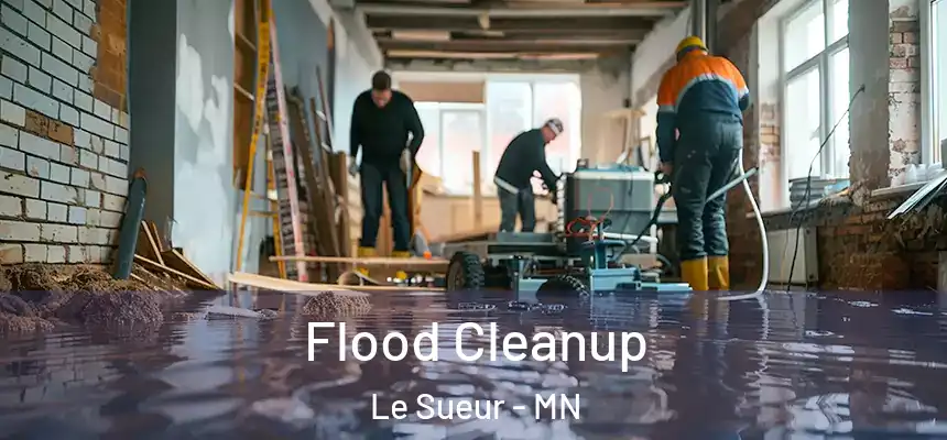  Flood Cleanup Le Sueur - MN