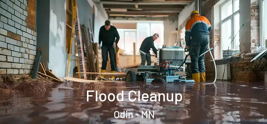  Flood Cleanup Odin - MN