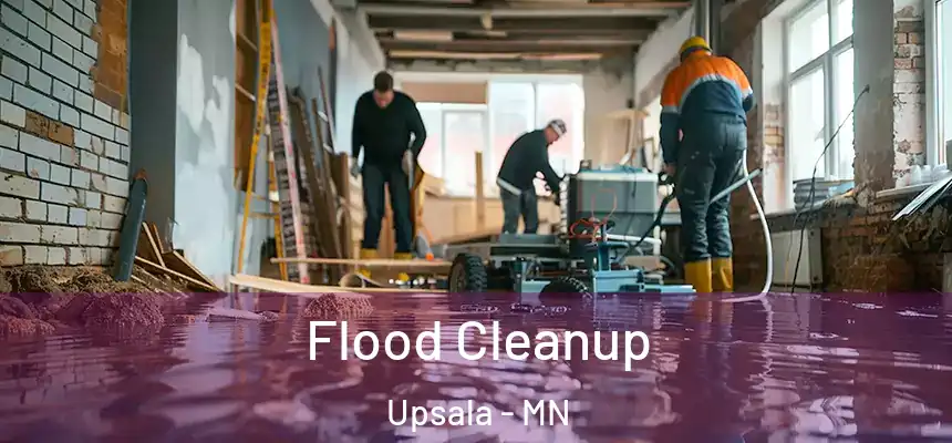  Flood Cleanup Upsala - MN