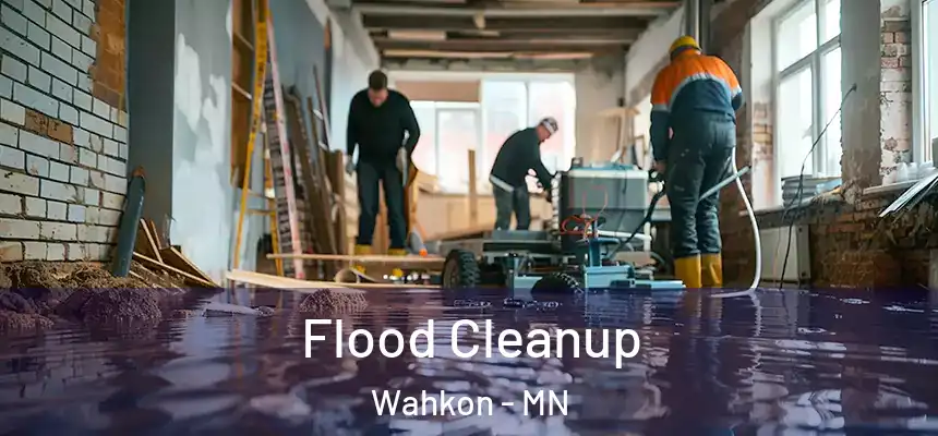 Flood Cleanup Wahkon - MN