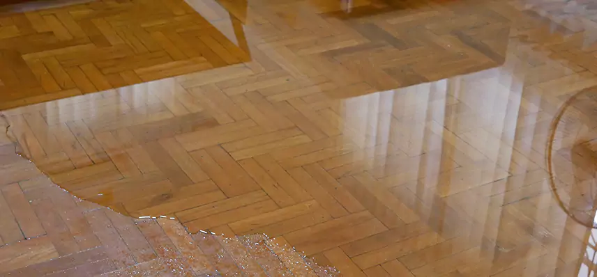 Laminate Wood Floor Water Damage Repair in Appleton