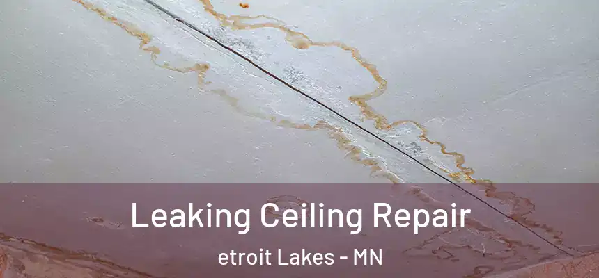  Leaking Ceiling Repair etroit Lakes - MN