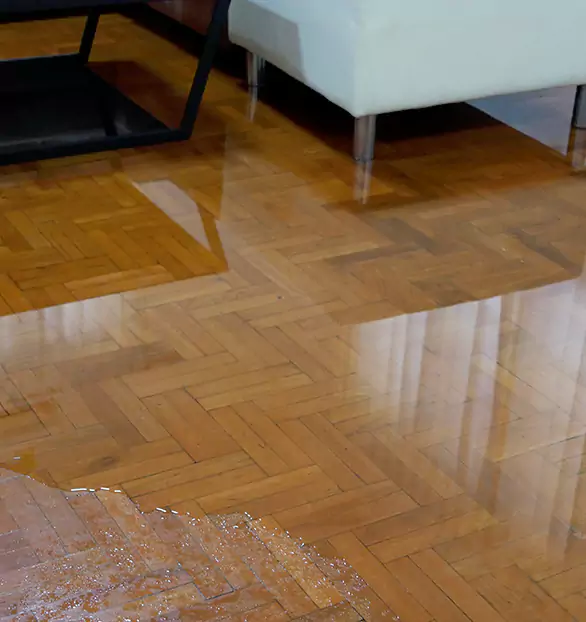 Trusted Emergency Water Restoration Company in Appleton, MN