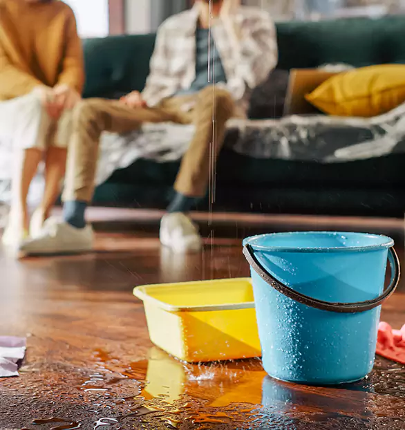 Trusted Water Restoration Company in Ada, MN