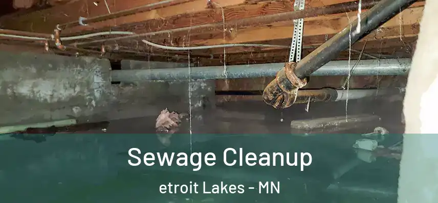  Sewage Cleanup etroit Lakes - MN