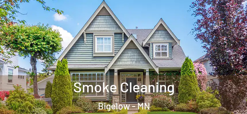  Smoke Cleaning Bigelow - MN