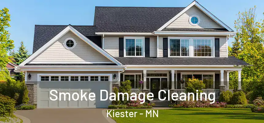  Smoke Damage Cleaning Kiester - MN