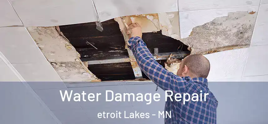  Water Damage Repair etroit Lakes - MN