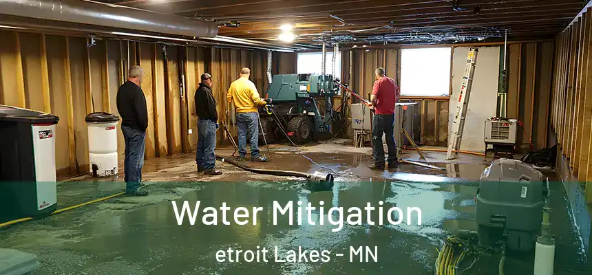  Water Mitigation etroit Lakes - MN