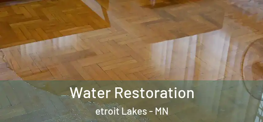  Water Restoration etroit Lakes - MN